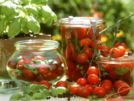 квашені помідори ферментовані