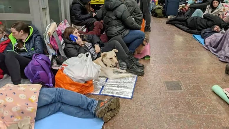 втома через постійні повітряні тривоги