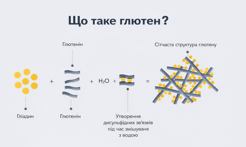 що таке глютен хімічний склад
